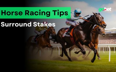 Surround Stakes 2025 Betting Tips
