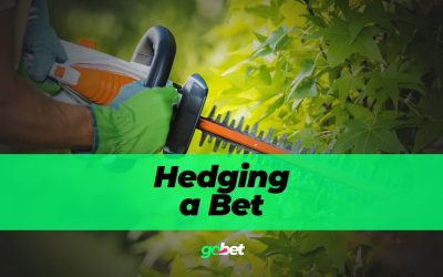gobet hedging a bet