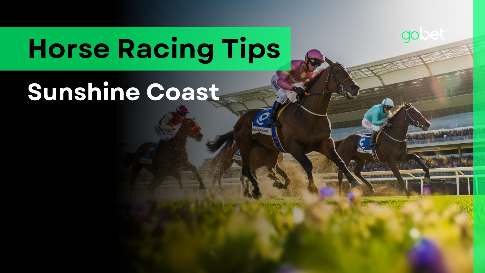 Sunshine Coast Racing Tips Saturday May 11th, 2024