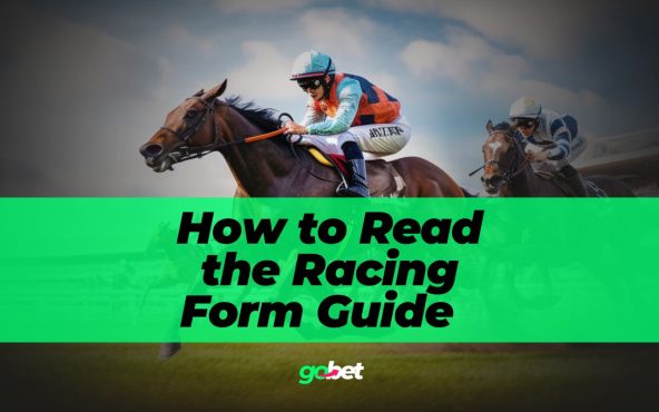How to Read the Horse Racing Form Guide