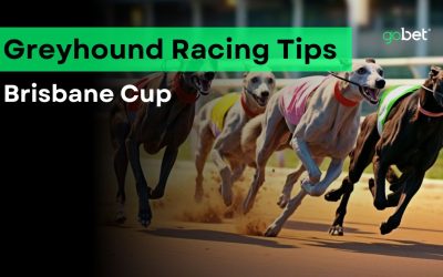 Brisbane Cup 2024 Betting Tips