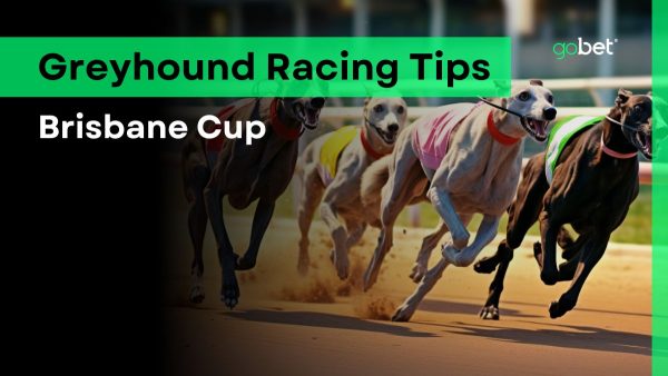 gobet brisbane cup tips