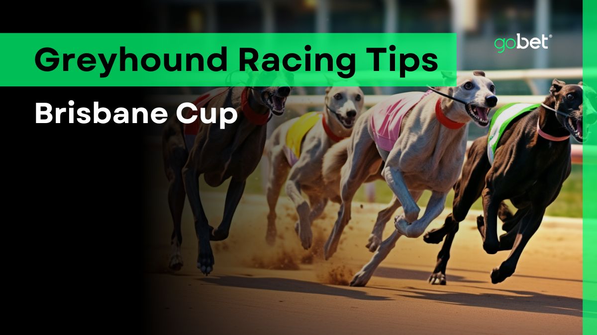 gobet brisbane cup tips