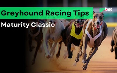 Maturity Classic 2024 Betting Tips