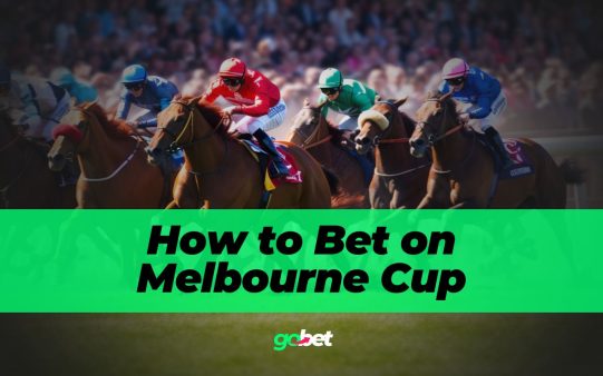 gobet how to bet on the melbourne cup