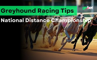 National Distance Championship 2024 Betting Tips