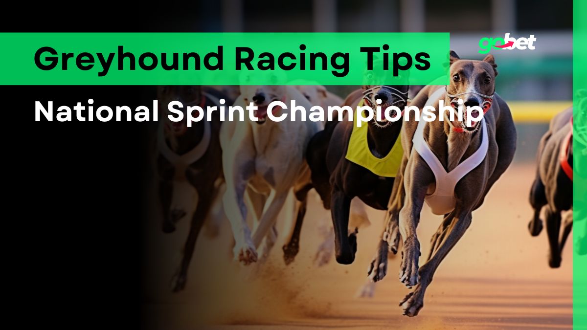 National Sprint Championship 2024 Betting Tips