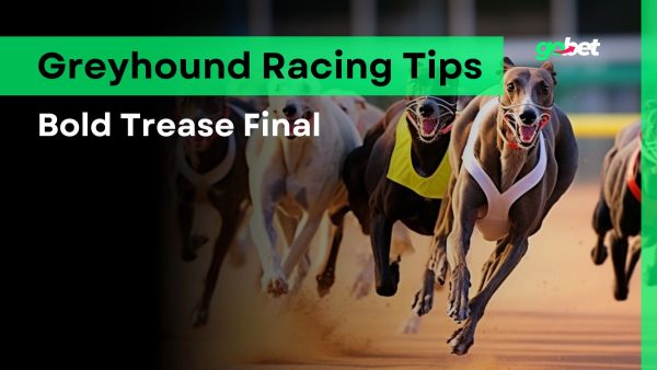 gobet bold trease final tips