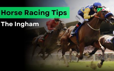 The Ingham 2024 Betting Tips