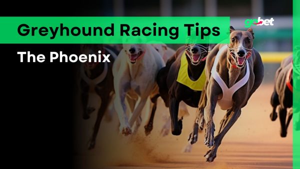 gobet the phoenix tips