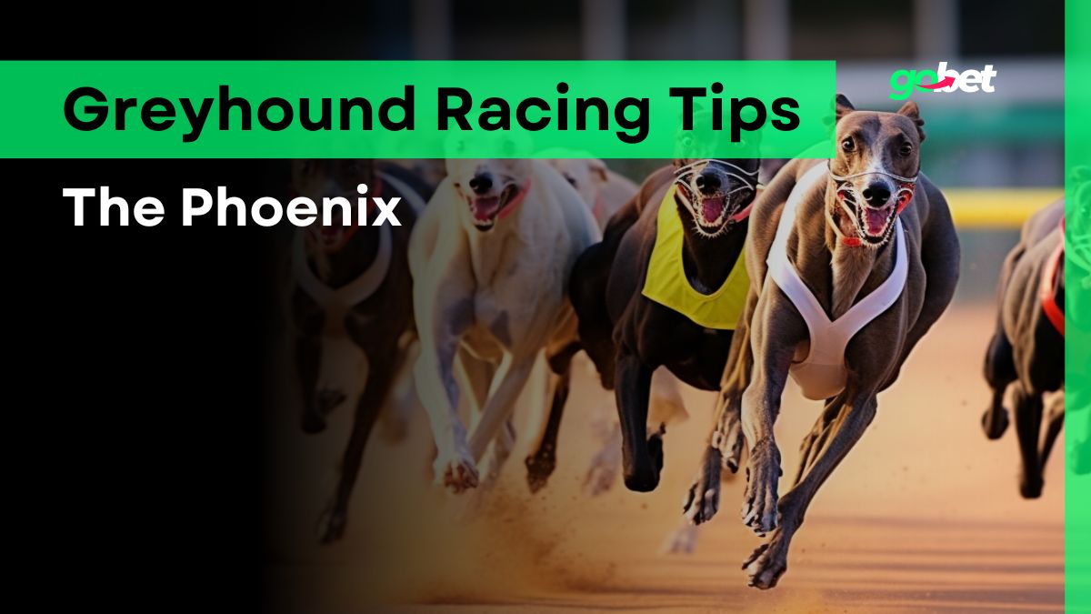 gobet the phoenix tips