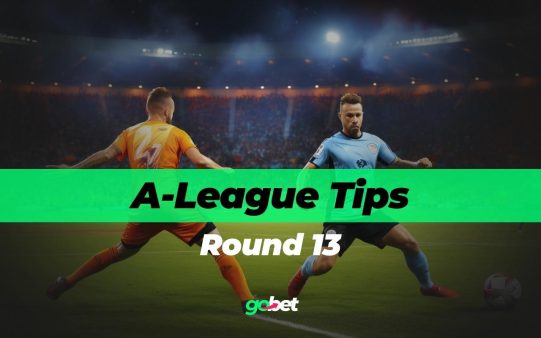 gobet a-league week 13 tips