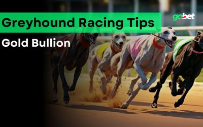 gobet gold bullion greyhound racing tips