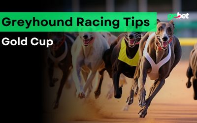 gobet gold cup greyhound racing tips