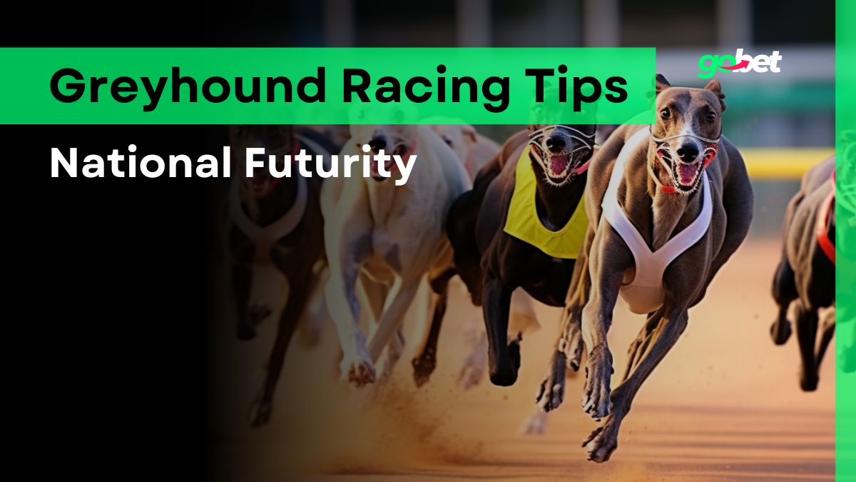 National Futurity 2025 Betting Tips