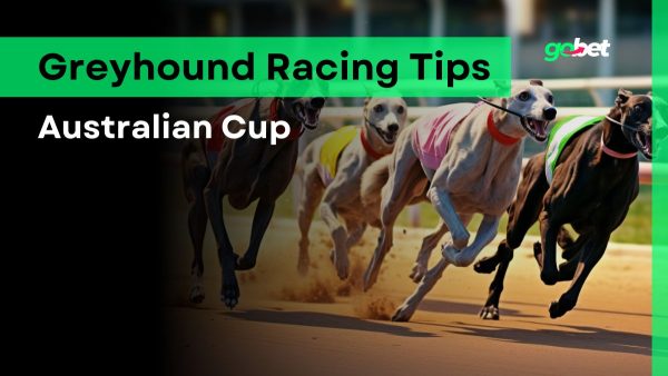 gobet australian cup tips