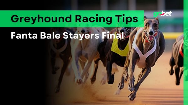 gobet fanta bale stayers final tips