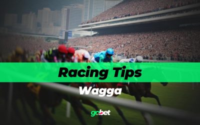 Wagga Racing Tips for Friday, October 31st 2025