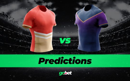gobet dolphins vs storm nrl tips