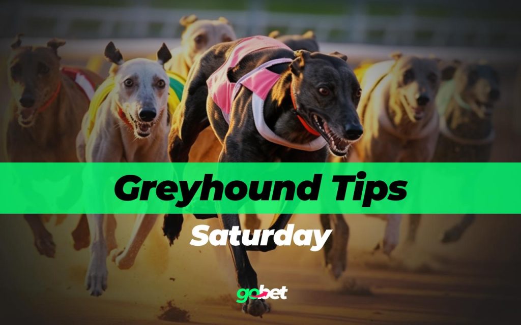 Greyhound Racing Tips for Saturday, May 30th 2026