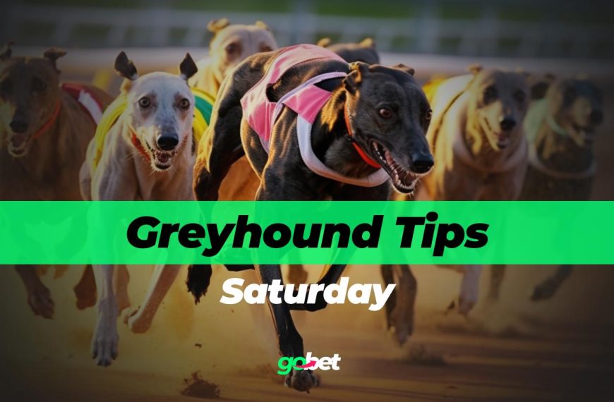 gobet saturday greyhound racing tips