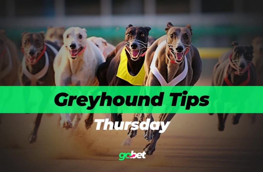 thursday greyhound racing tips