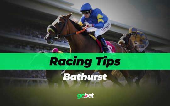 gobet bathurst horse racing tips