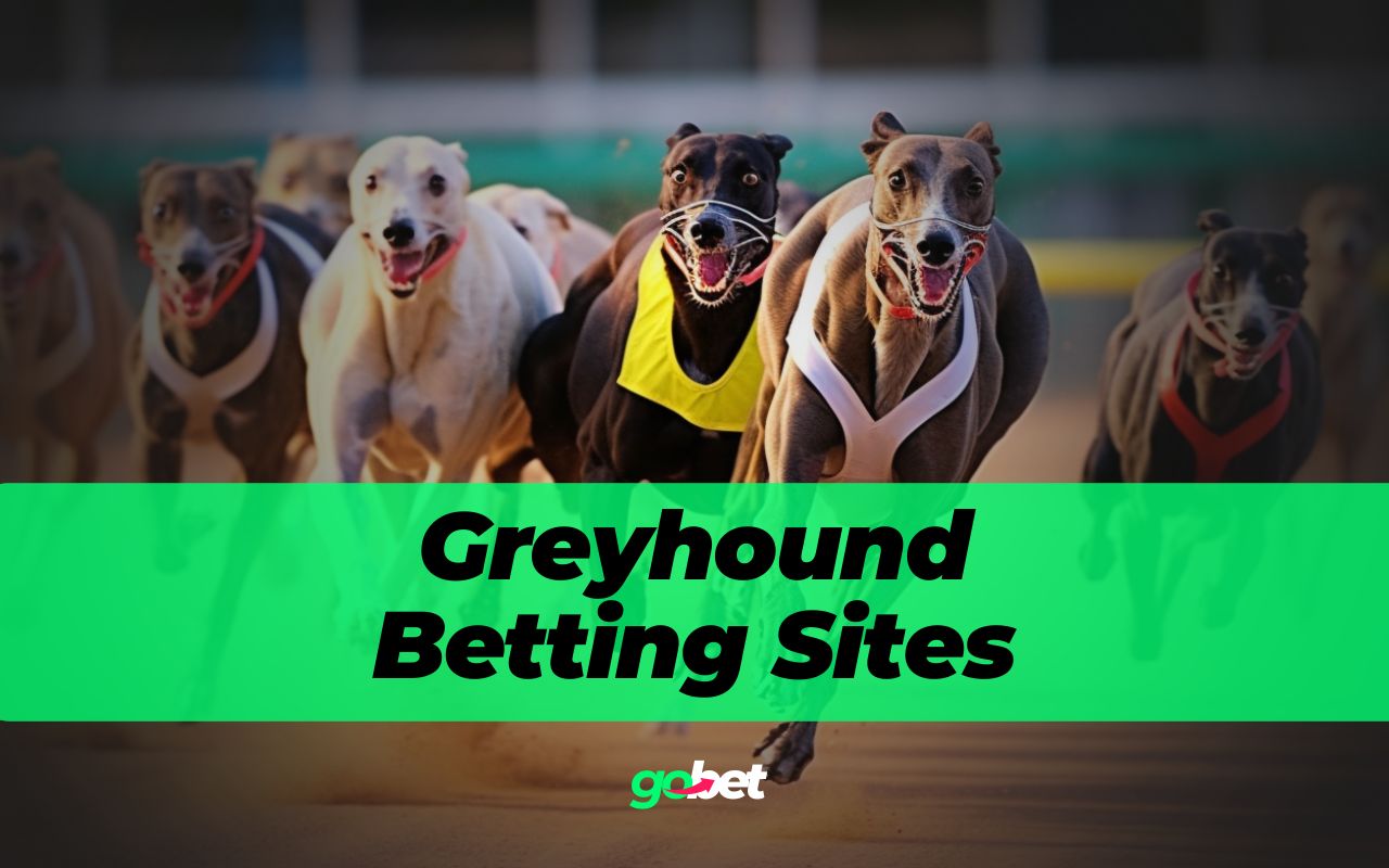 gobet greyhound betting sites