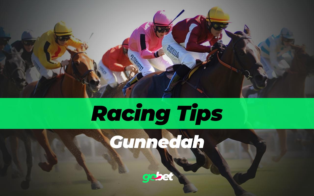 gobet gunnedah racing tips