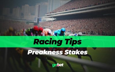 Preakness Stakes 2025 Betting Tips