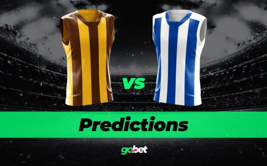 gobet hawthorn vs north melbourne afl tips