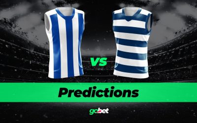 North Melbourne vs. Geelong Predictions – AFL Round 20 2025