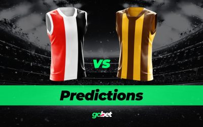 St Kilda vs. Hawthorn Predictions – AFL Round 17 2025