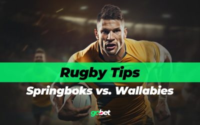 gobet springboks vs wallabies predictions