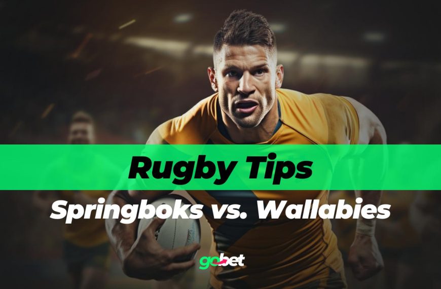 gobet springboks vs wallabies predictions