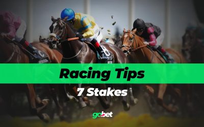 gobet 7 stakes tips