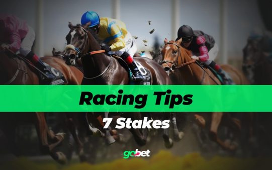 gobet 7 stakes tips