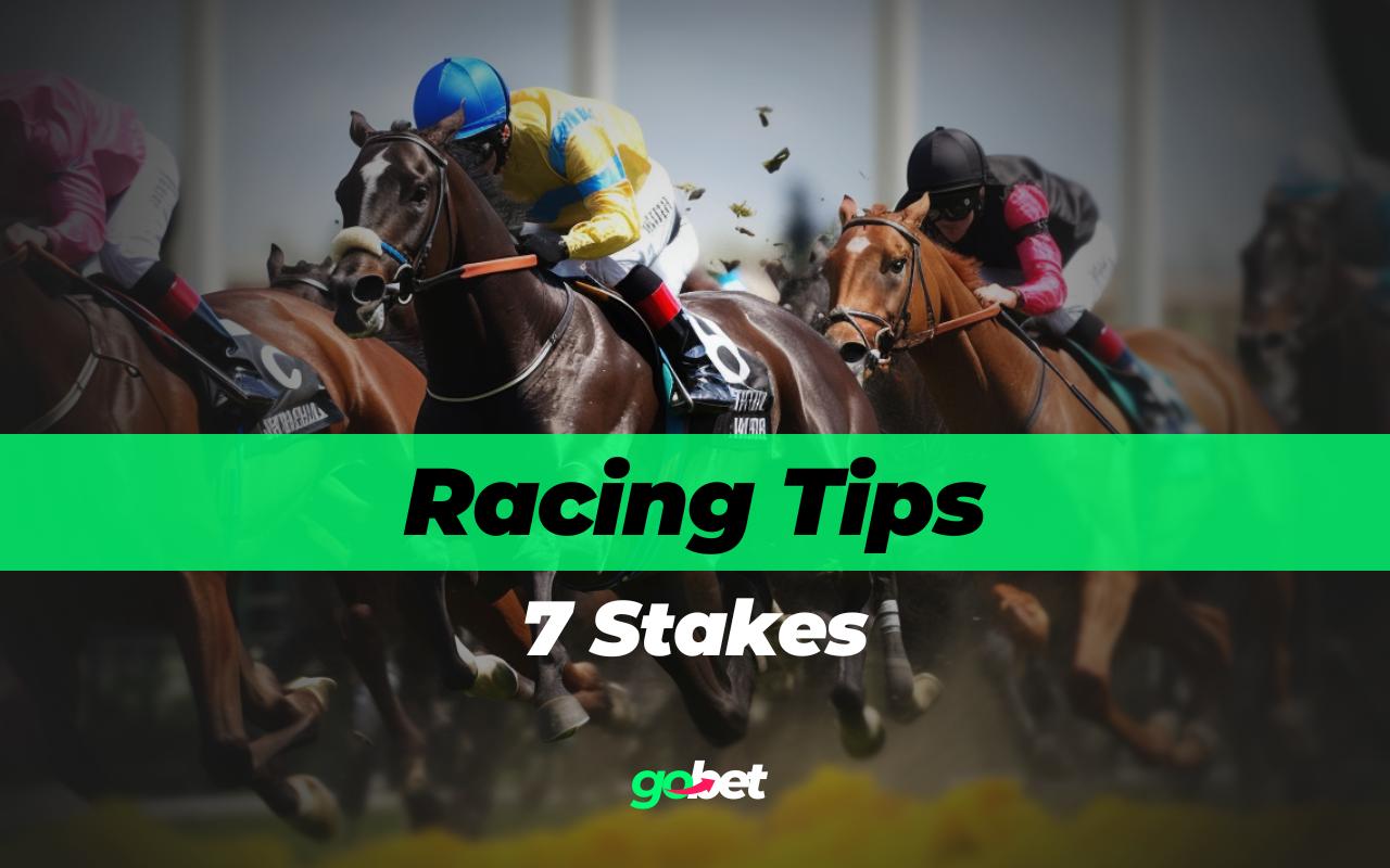 gobet 7 stakes tips