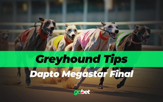 gobet dapto megastar final tips