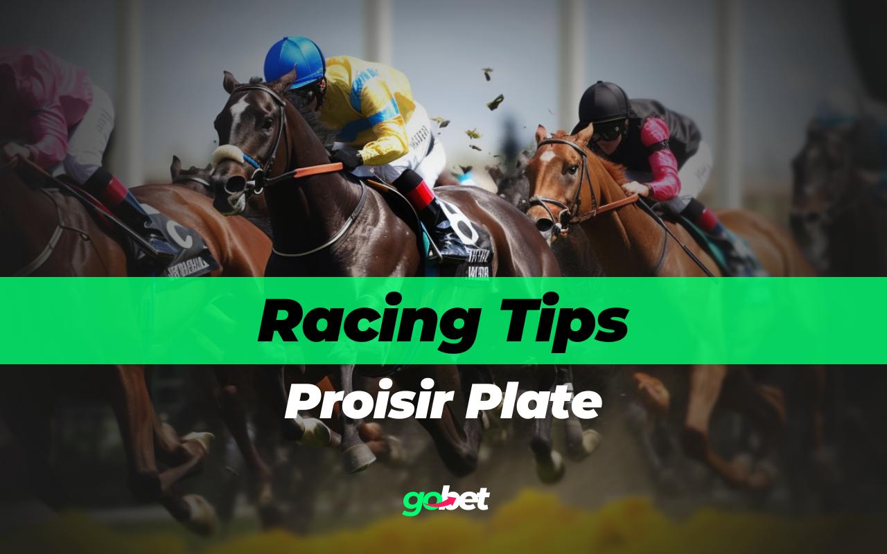 gobet proisir plate tips