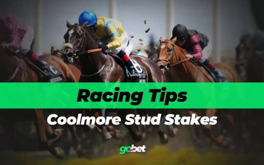gobet coolmore stud stakes tips