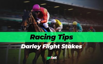 gobet darley flight stakes tips