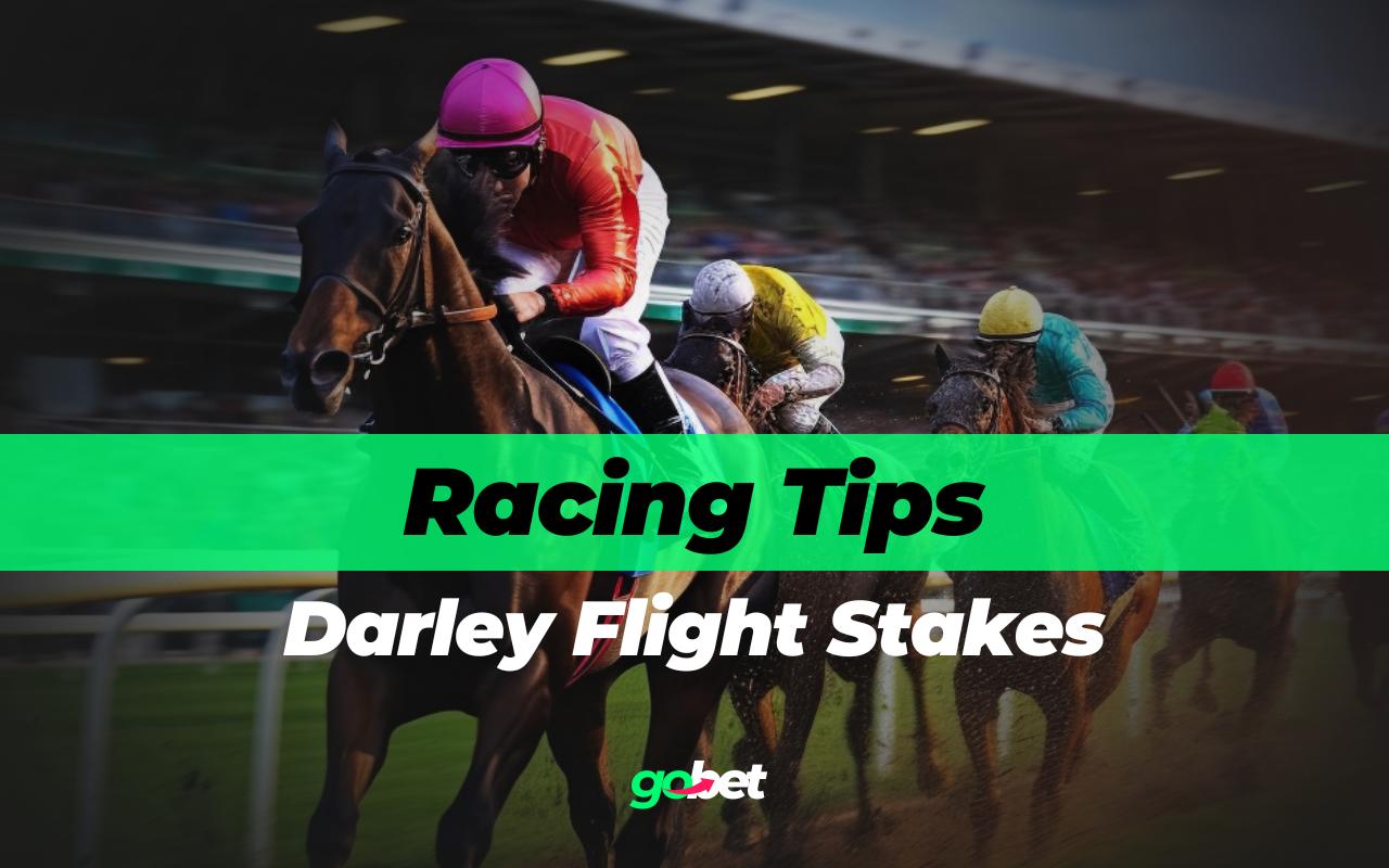 gobet darley flight stakes tips