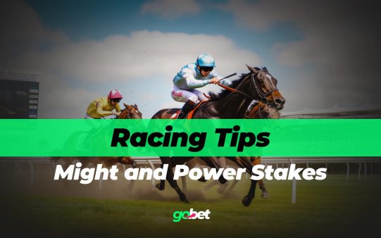 gobet might and power stakes tips