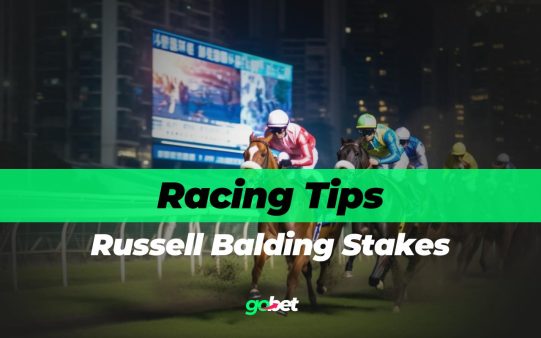 gobet russell balding stakes tips