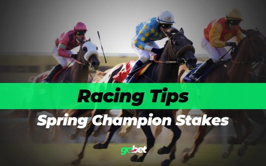gobet spring champion stakes tips