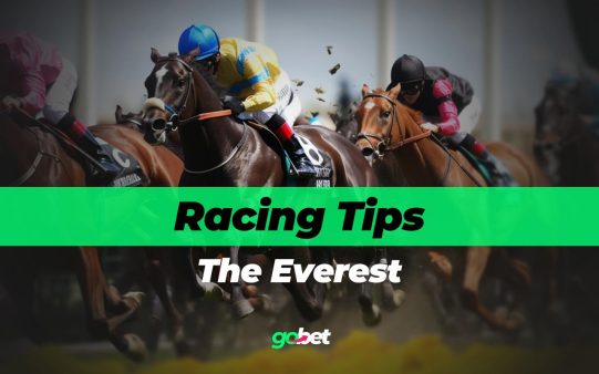 gobet the everest tips