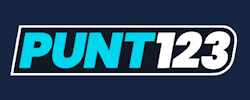 Punt123 logo