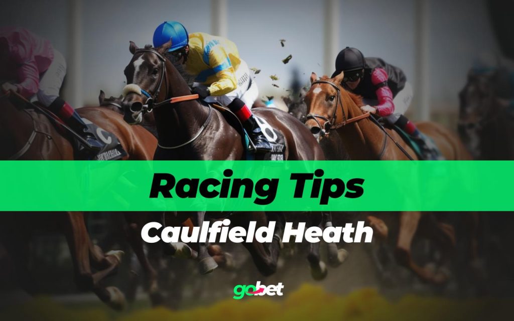 gobet caulfield heath tips