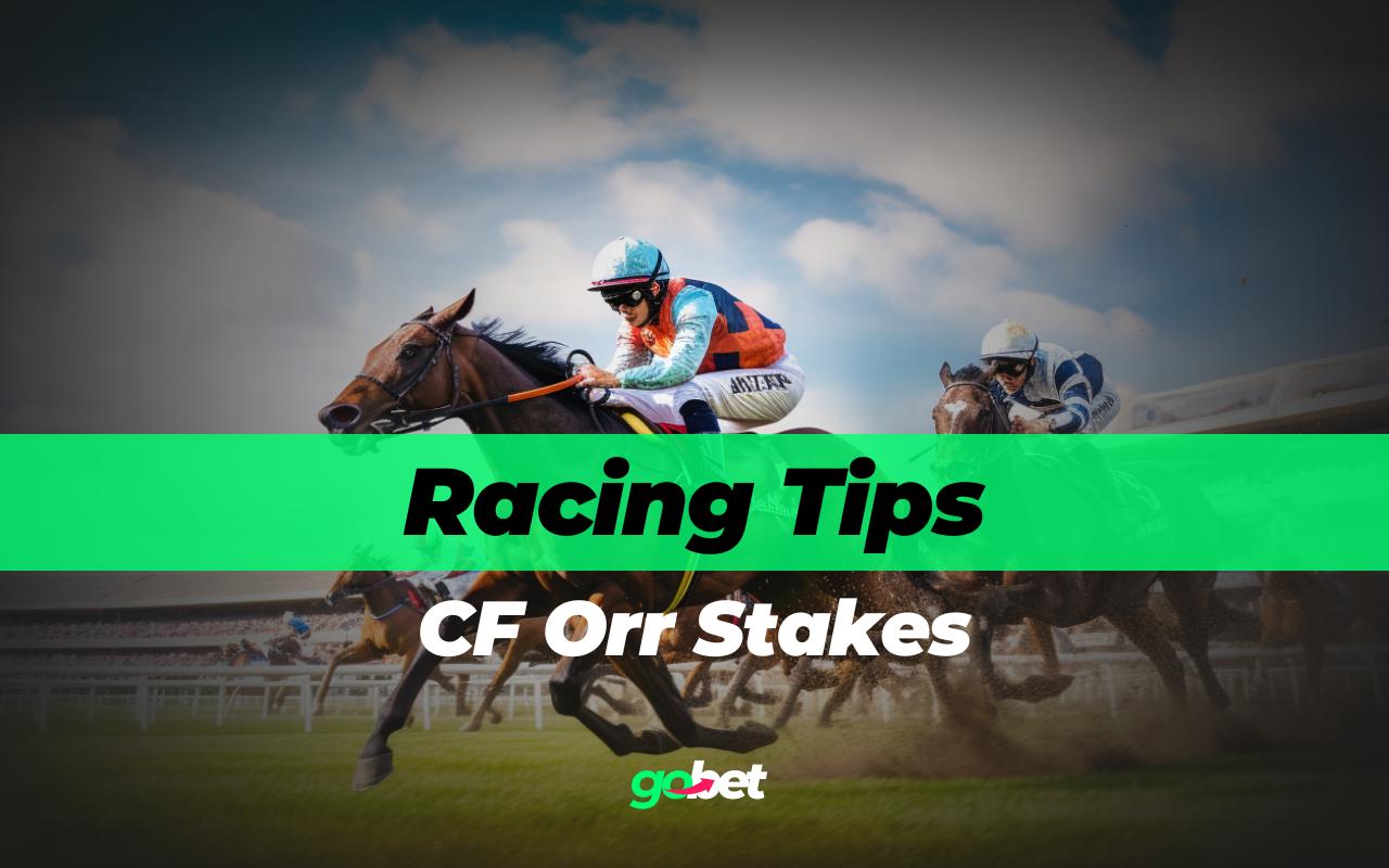 gobet cf orr stakes tips